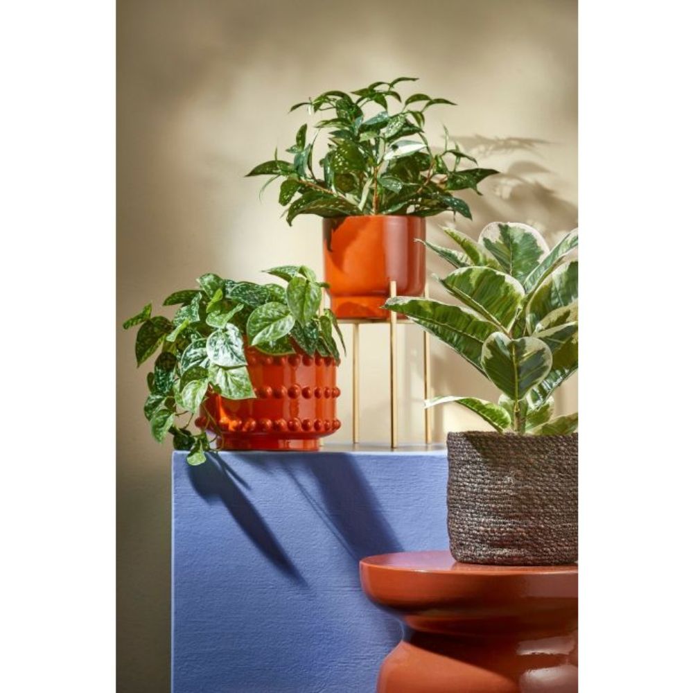 Mica Decorations Cordyline Artificial Plant in Pot