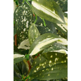Mica Decorations Cordyline Artificial Plant in Pot