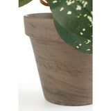 Mica Decorations Cordyline Artificial Plant in Pot