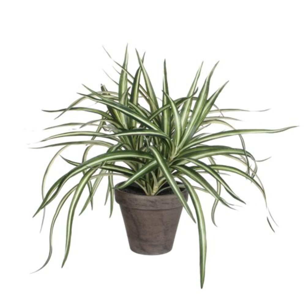 Mica Decorations White Dracaena Artificial Plant