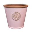 Mims 20cm Green Garden Cone Glazed Pot - Pink - Old Railway Line Garden Centre