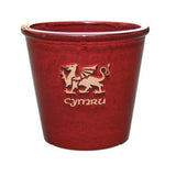 Mims 21cm Cymru Welsh Glazed Plant Pot - (Choice of 4) - Old Railway Line Garden Centre