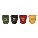 Mims 21cm Cymru Welsh Glazed Plant Pot - (Choice of 4) - Old Railway Line Garden Centre