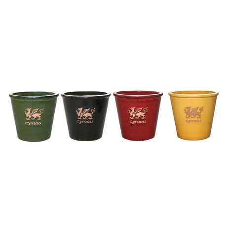 Mims 21cm Cymru Welsh Glazed Plant Pot - (Choice of 4) - Old Railway Line Garden Centre