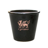 Mims 21cm Cymru Welsh Glazed Plant Pot - (Choice of 4)
