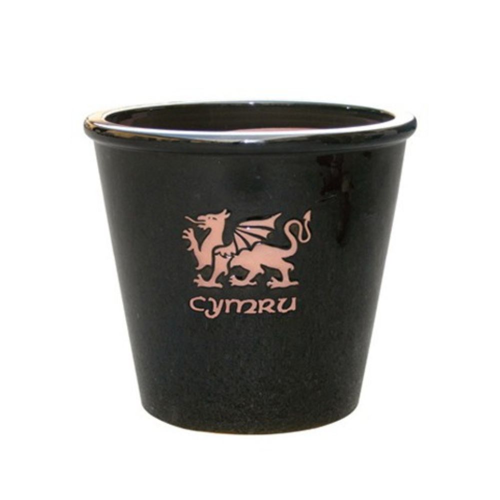 Mims 27cm Cymru Welsh Glazed Plant Pot - (Choice of 4)