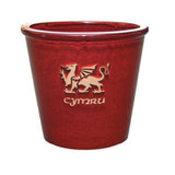 Mims 21cm Cymru Welsh Glazed Plant Pot - (Choice of 4)