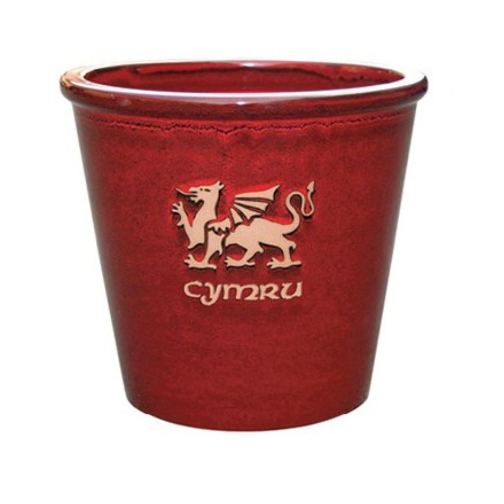 Mims 33cm Cymru Welsh Glazed Plant Pot - (Choice of 4)