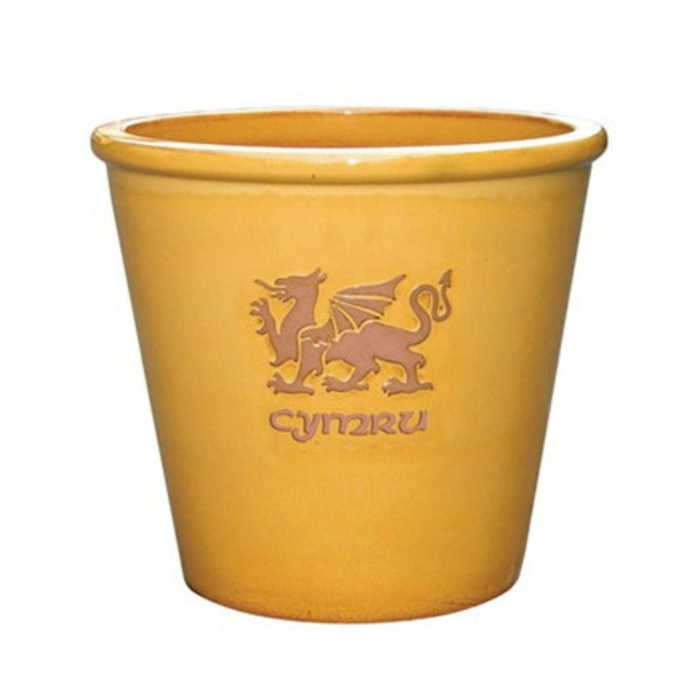 Mims 21cm Cymru Welsh Glazed Plant Pot - (Choice of 4)
