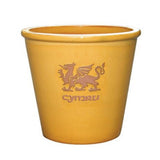 Mims 41cm Cymru Welsh Glazed Plant Pot - (Choice of 4)