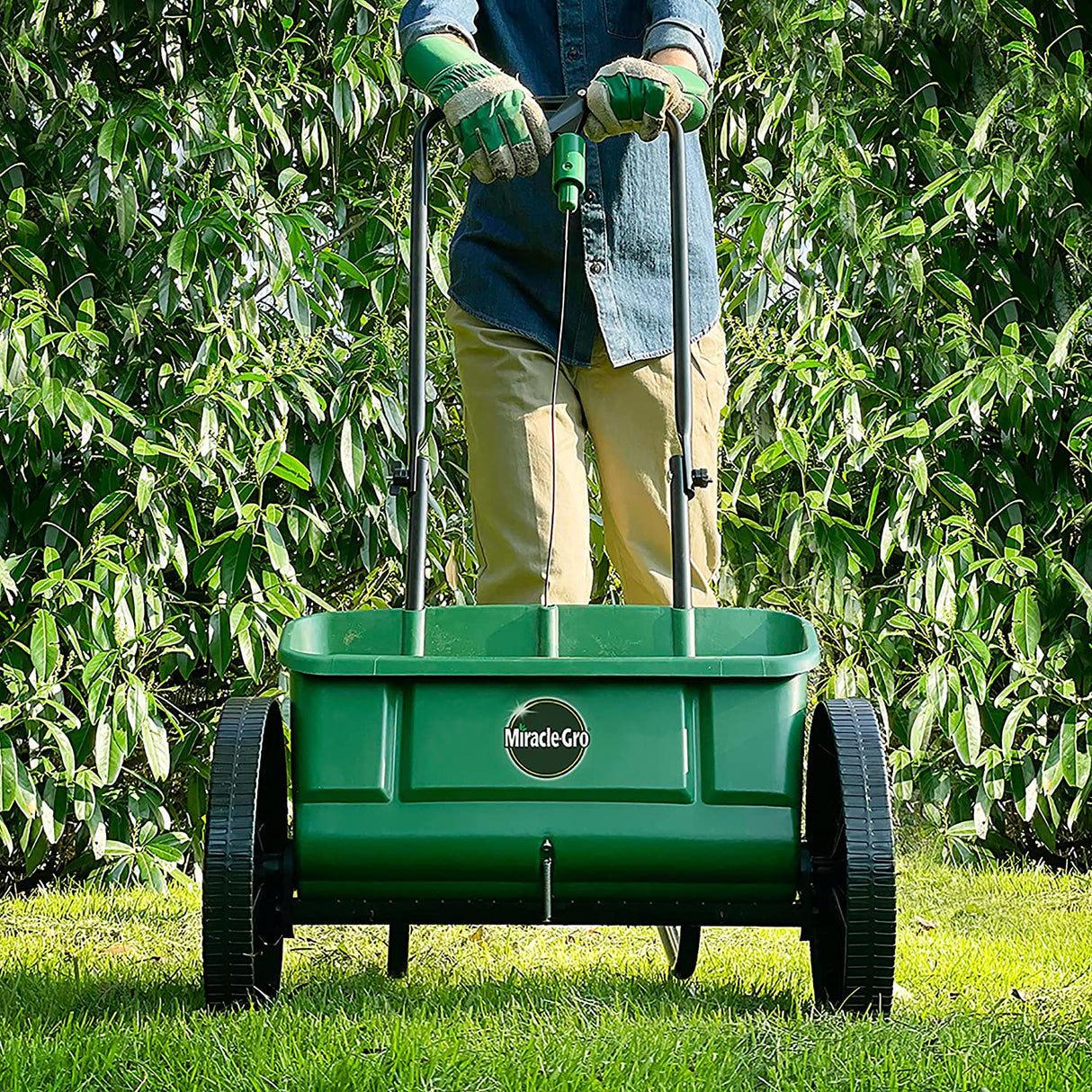 Miracle - Gro® Drop Spreader - Old Railway Line Garden Centre
