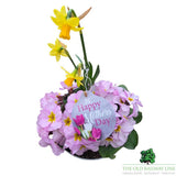 Mother's Day Primrose & Daffodil - Lavender Bowl 19cm - Old Railway Line Garden Centre