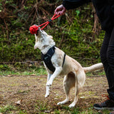 Mountain Paws Ball Rope Dog Toy - Orange