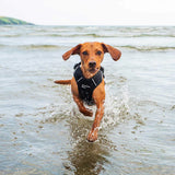 Mountain Paws Dog Harness - Black