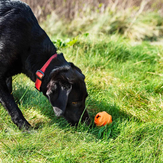 Mountain Paws Dog Treat Ball Dispenser