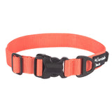 Mountain Paws Extra Tough Dog Collar - Orange