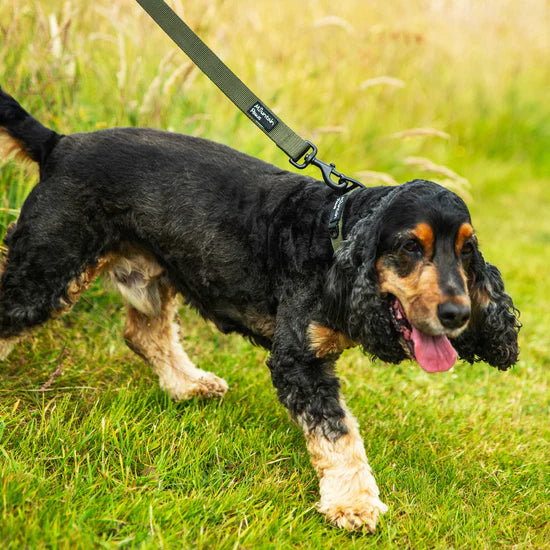 Mountain Paws 115cm Extra Tough Dog Lead - Olive