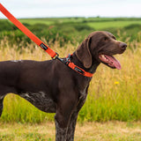 Mountain Paws 115cm Extra Tough Dog Lead - Orange