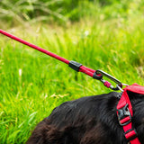 Mountain Paws 120cm Rope Dog Lead - Red