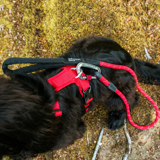 Mountain Paws 120cm Rope Dog Lead - Red