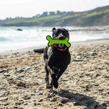 Mountain Paws 23cm Rubber Bone Dog Toy - Green