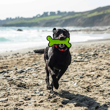 Mountain Paws 23cm Rubber Bone Dog Toy - Green