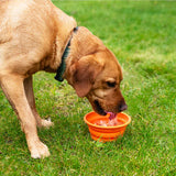 Mountain Paws Silicone Collapsible Dog Bowl - Orange