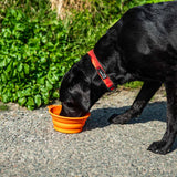 Mountain Paws Silicone Collapsible Dog Bowl - Orange