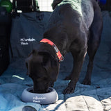 Mountain Paws Splashproof Dog Bowl - Grey