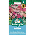 Mr Fothergill's Achillea Summer Berries F2 Seeds - Old Railway Line Garden Centre