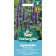 Mr Fothergill's Agastache Astello Indigo Flower Seeds - Old Railway Line Garden Centre