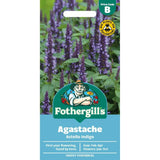 Mr Fothergill's Agastache Astello Indigo Flower Seeds - Old Railway Line Garden Centre