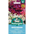 Mr Fothergill's Antirrhinum Antiquity F1 Seeds - Old Railway Line Garden Centre