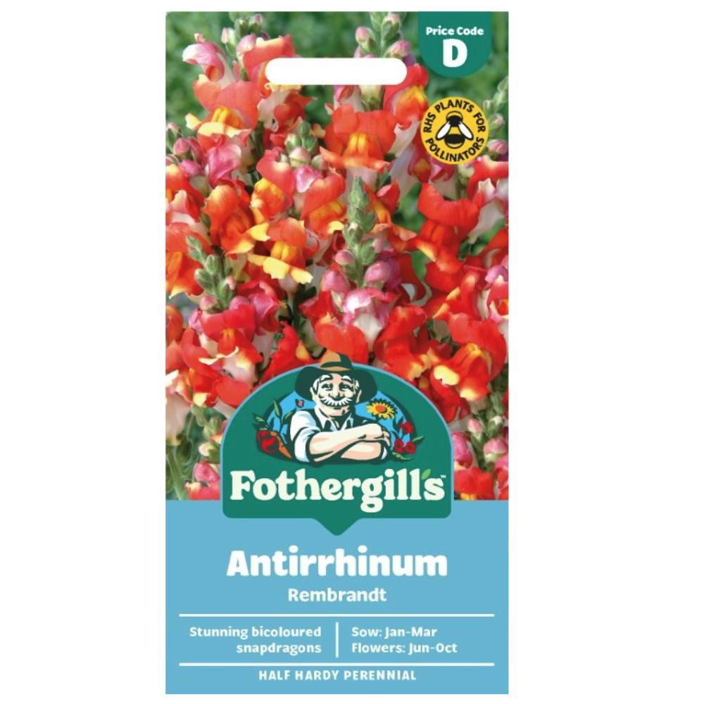 Mr Fothergill's Antirrhinum Rembrandt Seeds