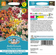 Mr Fothergills Antirrhinum Tom Thumb Mixed Seeds - Old Railway Line Garden Centre