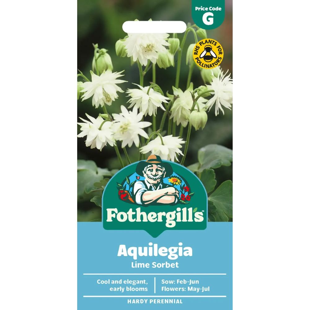 Mr Fothergill's Aquilegia Lime Sorbet Seeds