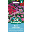 Mr Fothergill's Aster Colour Carpet Mixed Seeds - Old Railway Line Garden Centre