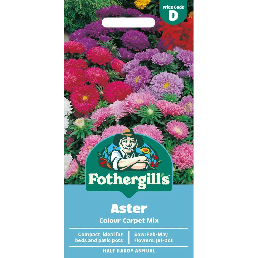 Mr Fothergill's Aster Colour Carpet Mixed Seeds