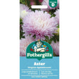 Mr Fothergill's Aster Kingsize Appleblossom Seeds - Old Railway Line Garden Centre