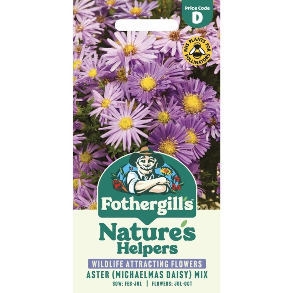 Mr Fothergill's Aster (Michaelmas Daisy) Mixed Seeds