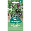 Mr Fothergill's Aubergine Jewel Jet F1 Seeds - Old Railway Line Garden Centre