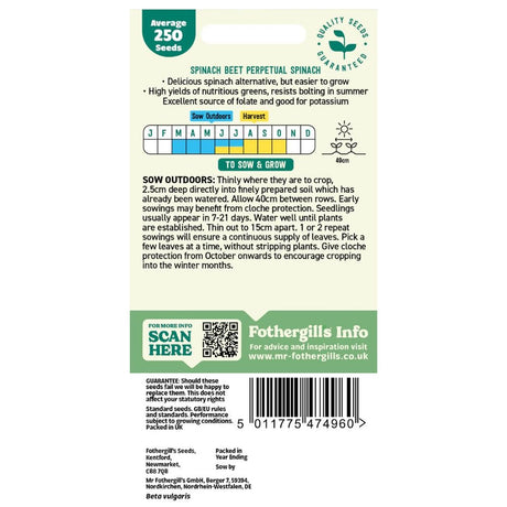 Mr Fothergill's Beet Leaf Perpetual Spinach Seeds - Old Railway Line Garden Centre
