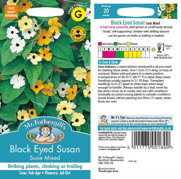 Mr Fothergills Black-eyed Susan Susie Mixed Seeds