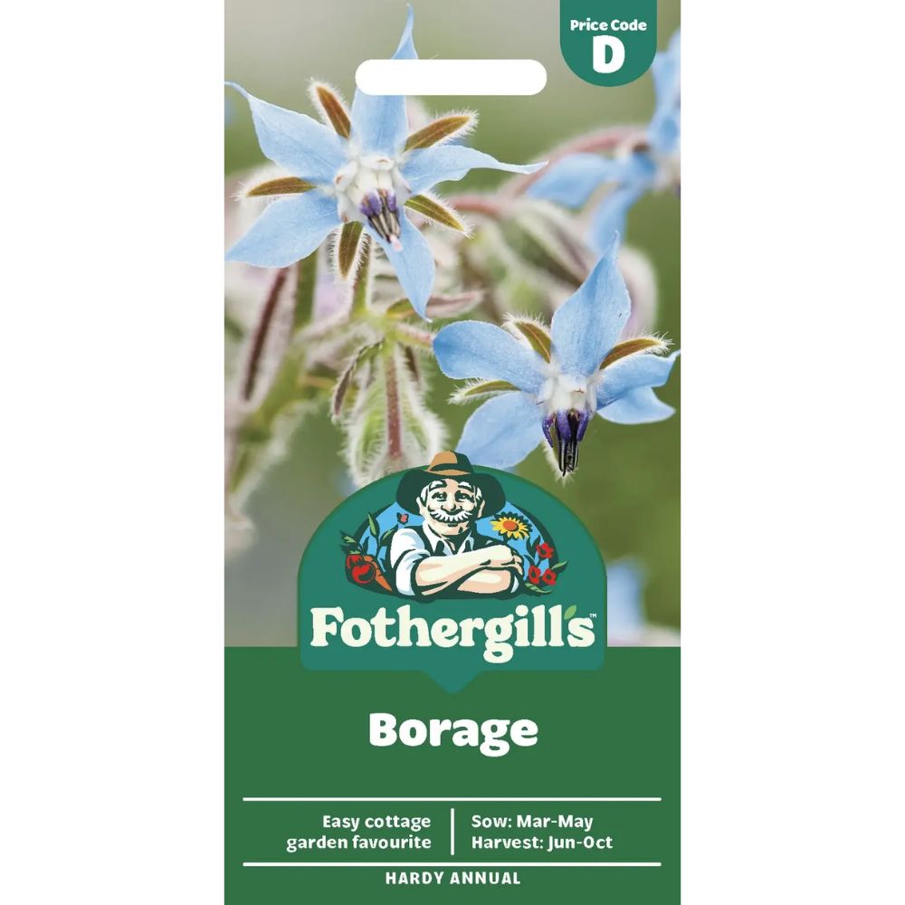 Mr Fothergill's Borage Blue Seeds