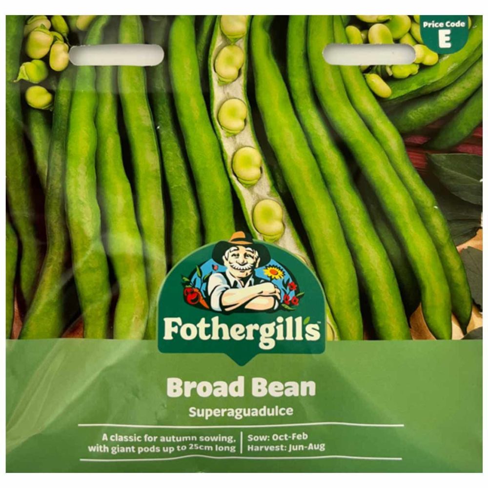 Mr Fothergill's Broad Bean Superaguadulce Seeds