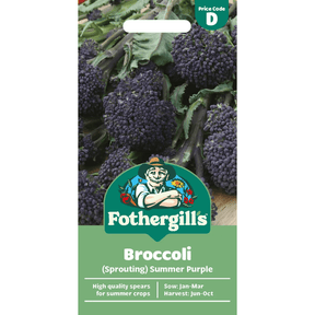 Mr Fothergill's Broccoli (Sprouting) Summer Purple Seeds - Old Railway Line Garden Centre