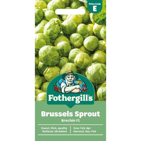 Mr Fothergill's Brussels Sprout Brechin F1 Seeds - Old Railway Line Garden Centre
