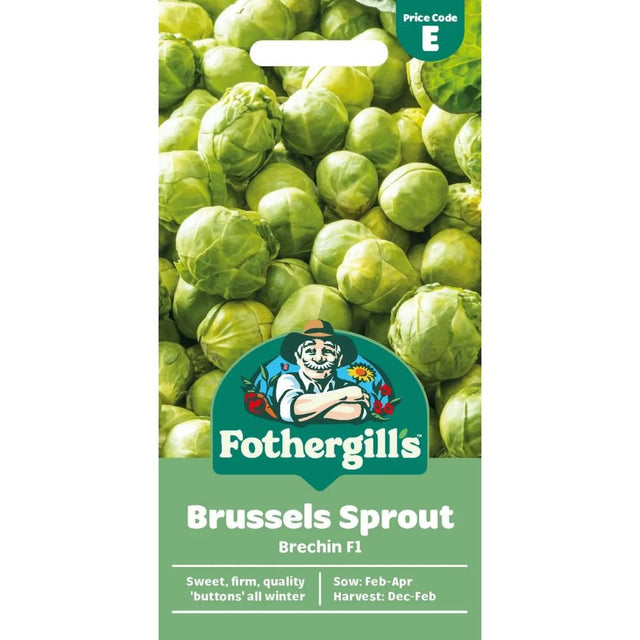 Mr Fothergill's Brussels Sprout Brechin F1 Seeds - Old Railway Line Garden Centre