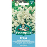 Mr Fothergill's Bunny Tail Grass Seeds - Old Railway Line Garden Centre