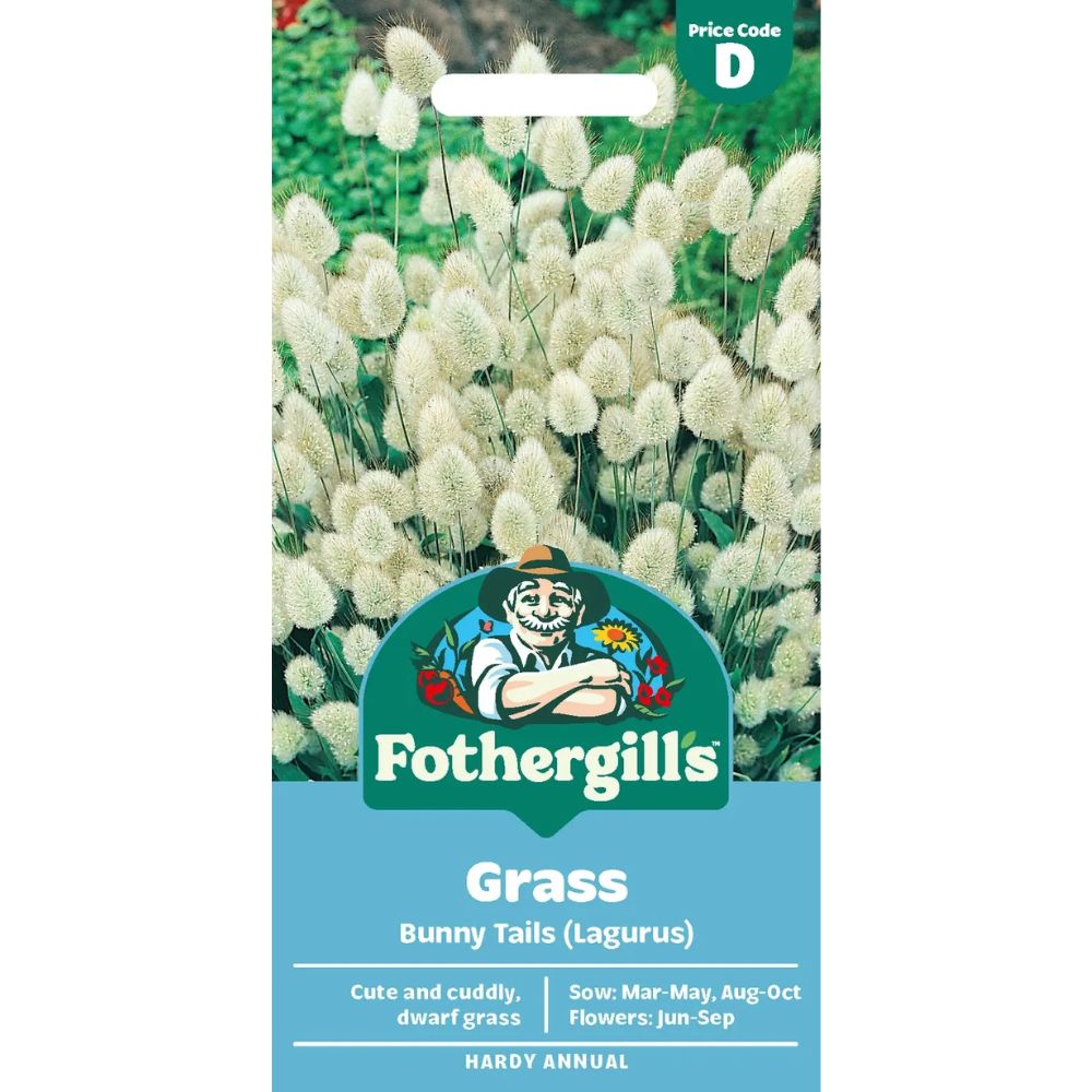 Mr Fothergill's Bunny Tail Grass Seeds